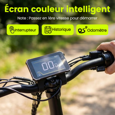 Vélo électrique KINGBULL VERVE, batterie amovible 48 V 20 Ah, Shimano 8 vitesses