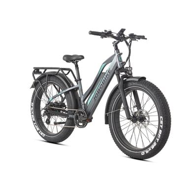 Bicicleta eléctrica para adultos JOBOBIKE ROBIN PRO ST-F33 con batería de 48V y 17.5Ah - gris