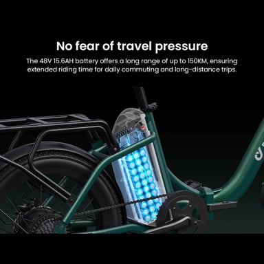 DYU C9 Bicicletta elettrica pieghevole 250W 48V 15,6Ah Verde