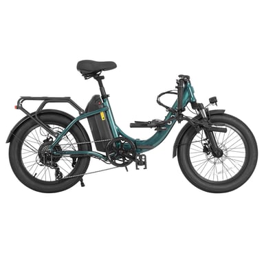 DYU C9 Bicicletta elettrica pieghevole 250W 48V 15,6Ah Verde