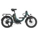 DYU C9 Bicicletta elettrica pieghevole 250W 48V 15,6Ah Verde