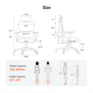 NEWTRAL Chaise Standard NT001 avec soutien lombaire adaptatif, chaise ergonomique, accoudoirs et appuie-tête réglables, base en nylon