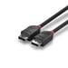 Lindy 36491 Cavo DisplayPort 1 m nero
