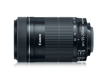 Canon EF-S 55-250mm SLR Teleobjetivo Negro
