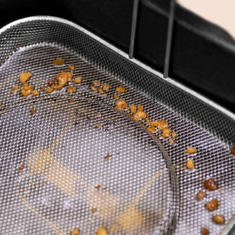 Cecotec CleanFry Advance 1500 Friteuse électrique avec huile 1 5 Inox - vue 3