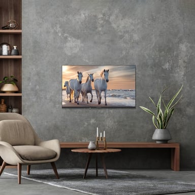 Thomson 43UA5S13 TV 109,2 cm (43'') 4K Ultra HD Smart TV Wifi Noir