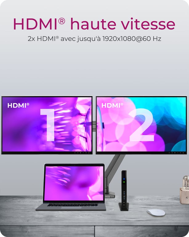 ICY BOX IB DK2251AC - vue 4