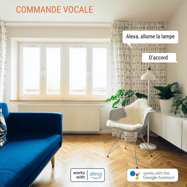 Prise connectée - KONYKS - Priska - Max 3 EU - Wifi + Bt - 16 A - Compteur de consommation - Compatible Alexa / Google Home