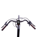 Bici elettrica JOBOBIKE Henry 250W Motore centrale 36V 14Ah