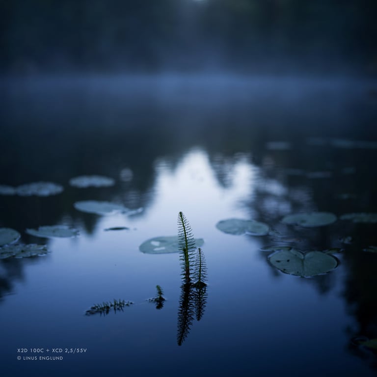 Objectif hybride Hasselblad XCD 55mm f2.5 - vue 3