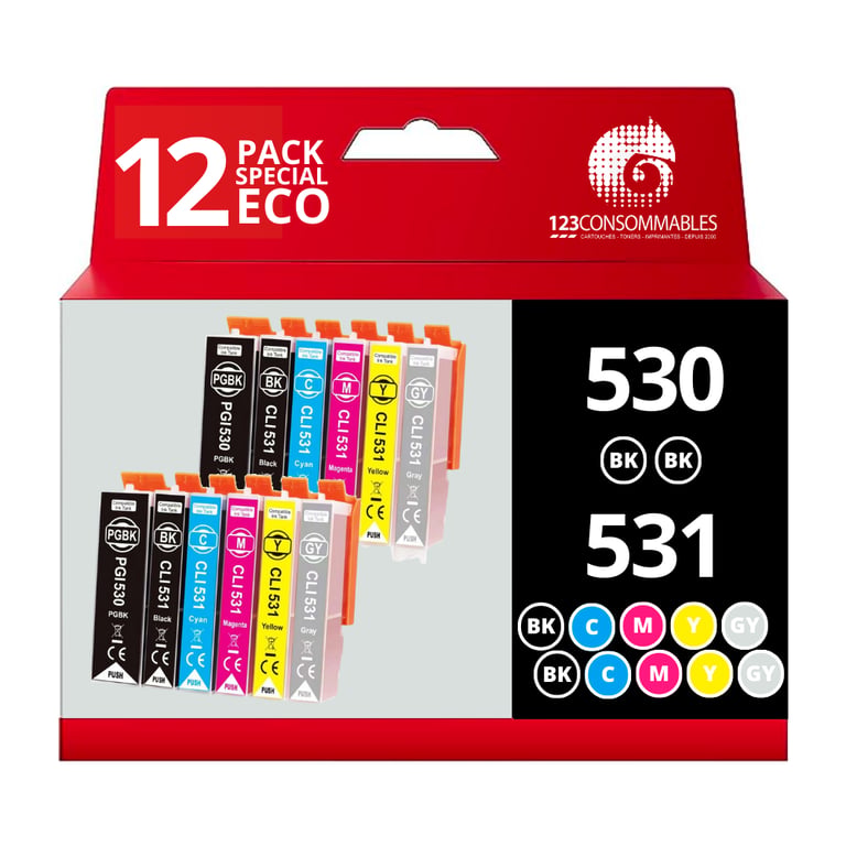 Pack compatible Canon PGI 530 CLI 531 12 cartouches Neuf