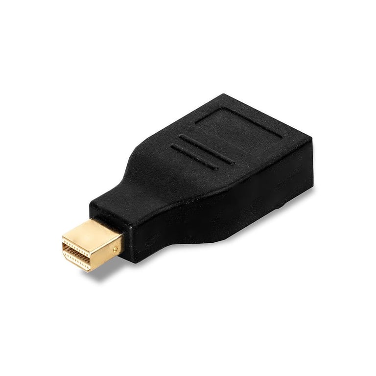 Lindy 41077 changeur de genre de câble Mini Display Port Display Port Neuf - vue 2