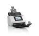 Forza lavoro DS-790WN