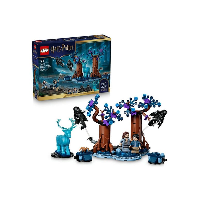 LEGO Harry Potter 76475 La Forêt interdite Expecto Patronum 244 pièces Noir et multicolore - Neuf