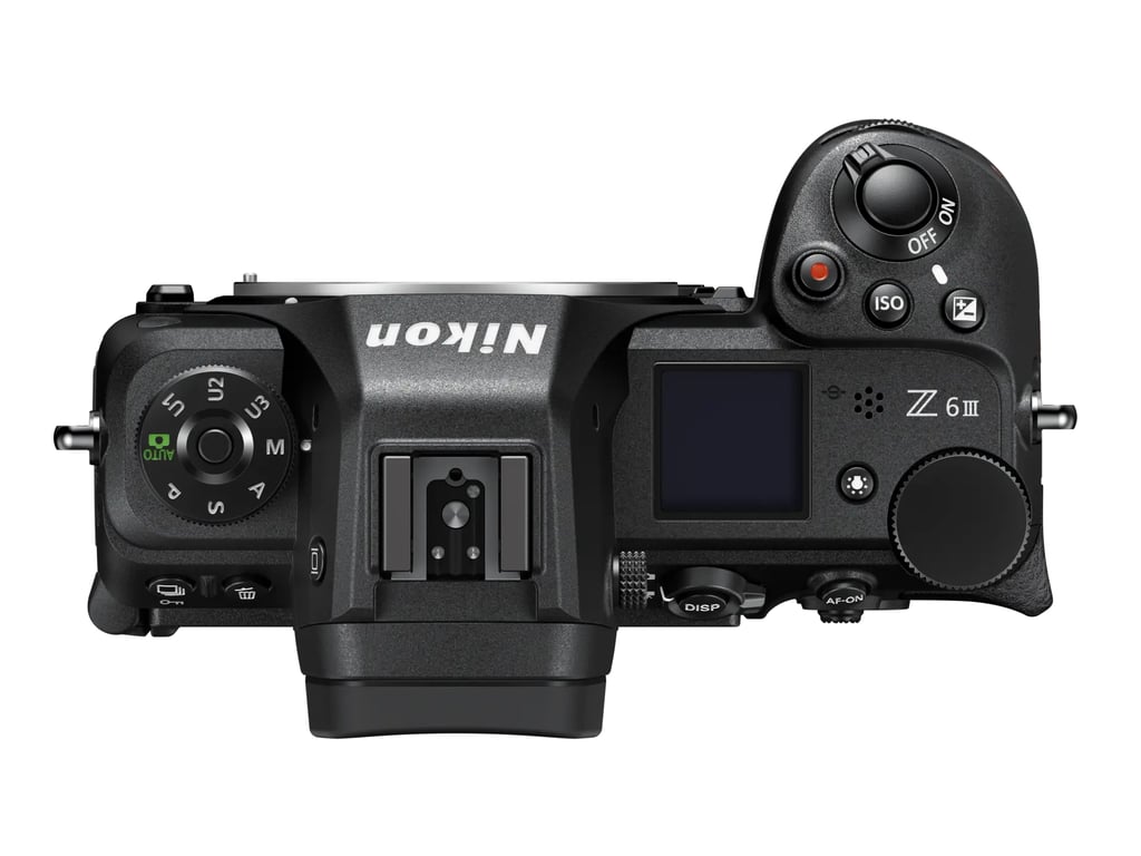 Nikon Z6 III + Z 24 120mm f4 - vue 5