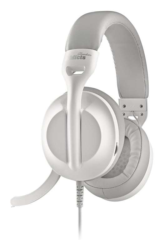 Casque NGS VOX 805 – Stéréo USB-C, Microphone Réglable, Annulation du Bruit - vue 2