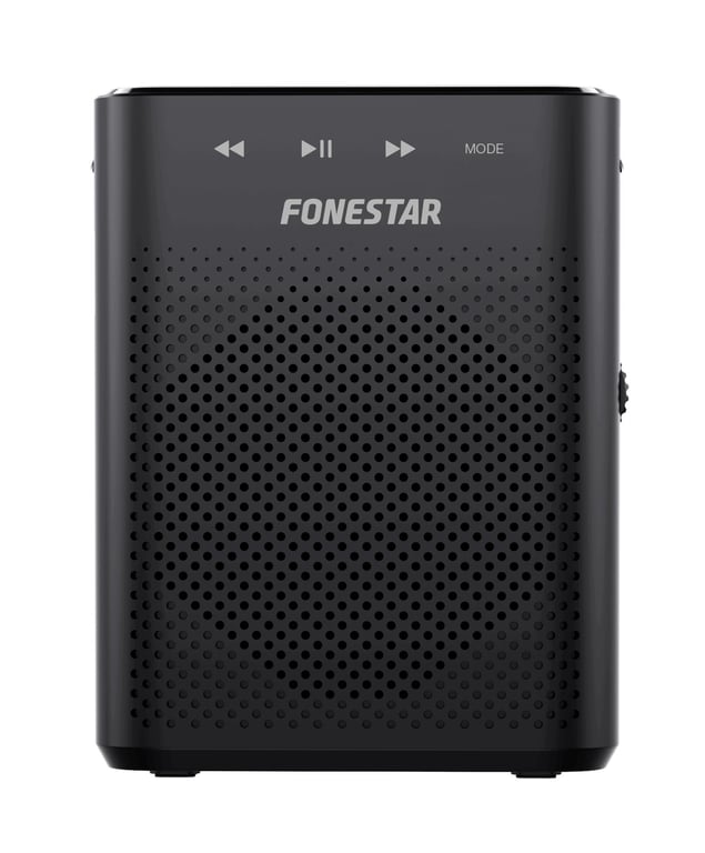 Fonestar Alta-Voz-W30 Haut-Parleur Portable Et De Fête Enceinte Portable Stéréo Noir 30 W