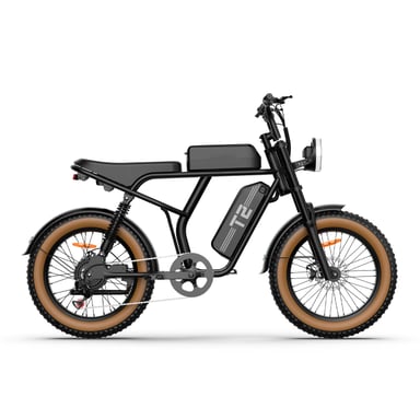 Bicicleta Eléctrica URLIFE T2  - Motor 250W Batería 48V 15.6Ah Pedal Asistido Modo de asistencia al pedaleo- Marrón