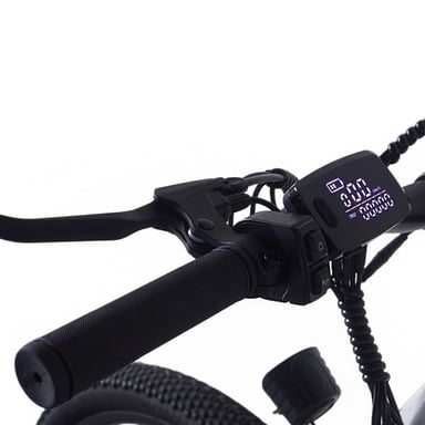 PVY M29 Vélo Électrique - Moteur 250W Batterie 48V17.5AH Pneus 29'' Freins à Disque Mécaniques - Gris