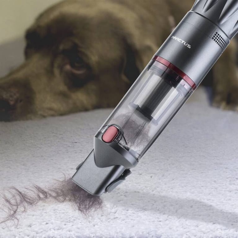 Genius Invictus One 1.0 Aspirateur Main séns Fil - vue 4