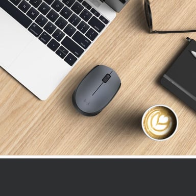 Logitech M170 Grey-K souris Ambidextre RF sans fil Optique 1000 DPI