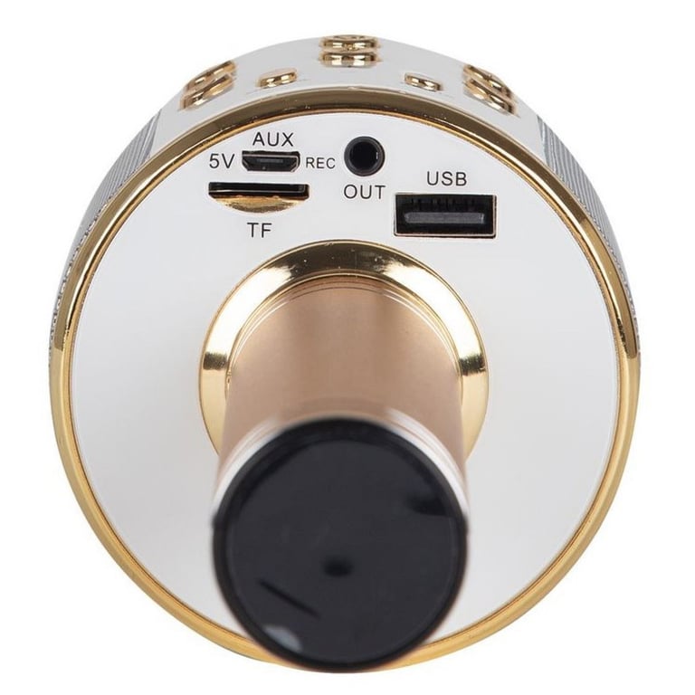 Riff WS 858 Microphone karaoké avec haut parleurs AUX et Micro SD Or Neuf - vue 4