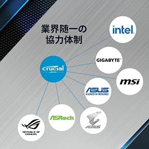 Crucial Pro DDR5 Overclocking 6000 MHz CL36 - vue 2