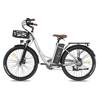 Vélo électrique FAFREES F26 Lasting - Moteur 250W Batteries 36V25Ah 26x1.95 Pouces Pneus Freins à Disque Mécaniques - Gris