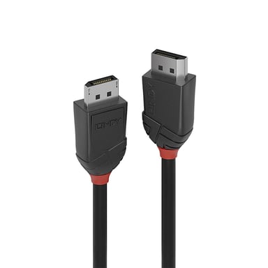 LINDY Cable DisplayPort 1.2 - Línea negra - 1m