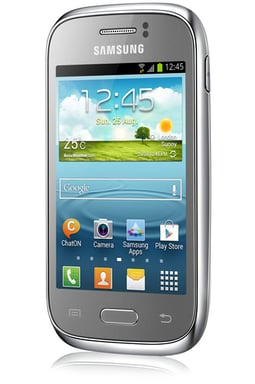 Galaxy S6 4 Go, Gris