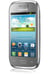 Galaxy S6 4 Go, Gris