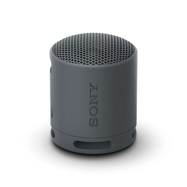 Sony Srs-Xb100B Haut-parleur portable Bluetooth compact noir