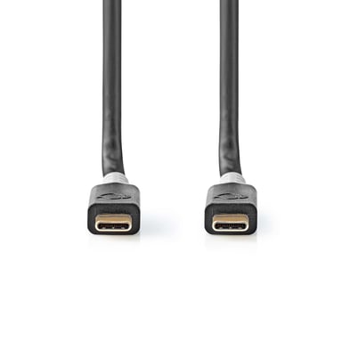 Nedis CCBW64020AT20 câble USB USB4 Gen 2x2 2 m USB C Noir, Argent - Neuf