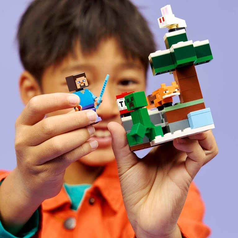 LEGO Minecraft Les aventures de Steve dans la taïga 21583 - vue 5