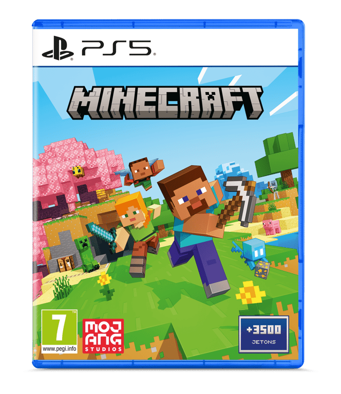 Minecraft Ps5 - vue 3