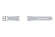 Samsung ET-SFR87LSEGEU Accesorios para dispositivos vestibles inteligentes Grupo de rock Plata Fluoroelastómero