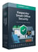 Kaspersky Small Office Security 8.0 Sécurité antivirus Base Italien 10 licence(s) 1 année(s)