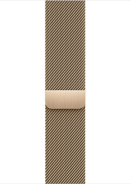 Apple ML763ZM/A accessoire intelligent à porter sur soi Bande Or Acier inoxydable