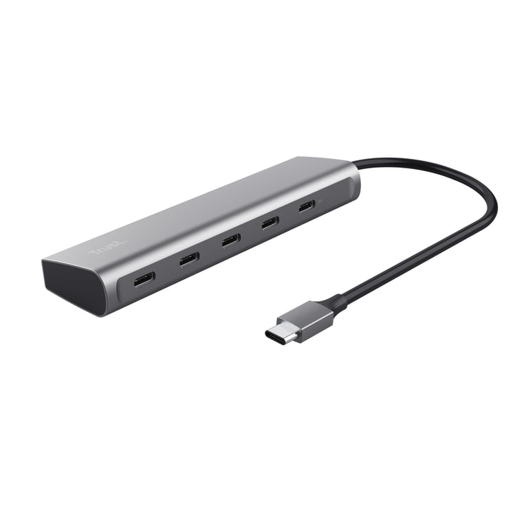 Trust Halyx USB 3.2 Gen 1 3.1 Gen 1 Type C 104 Mbit/ Aluminium Neuf