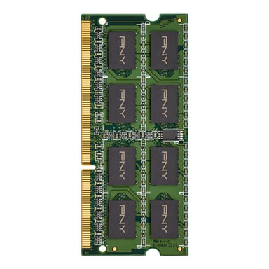 PNY 8GB DDR3 1600MHz módulo de memoria 1 x 8 GB