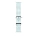 Apple MYP83ZM/A accessorio intelligente da indossare Bracciale Blu in Fluoroelastomero, Titanio