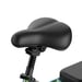 Vélo électrique FAFREES F20 Flex pour les trajets domicile-travail, batterie 36 V 20 Ah / autonomie de 100 km, capteur de couple - vert éclatant