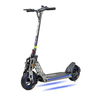 Trottinette électrique BISON GT 800W homologuée DGT, autonomie 40 km, freins à disque, roues 10'', éclairage LED, écran LCD, pliable, double suspension
