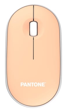 Pantone PT-MS001E ratón Hogar RF inalámbrico Laser 100 DPI