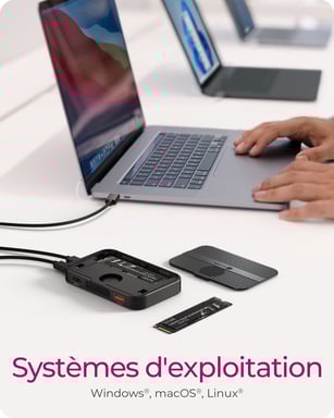 ICY BOX IB-DK4071M-CU31 USB 3.2 Gen 2 (3.1 Gen 1) Type-C Negro