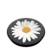 PopSockets Grip White Daisy (nuova confezione 2019)