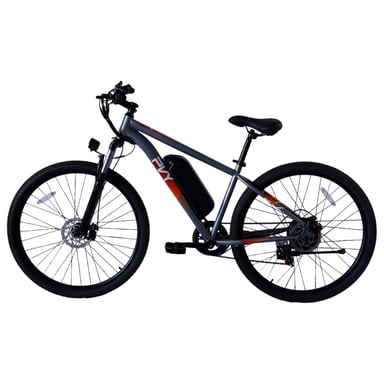 PVY M29 Vélo Électrique - Moteur 250W Batterie 48V17.5AH Pneus 29'' Freins à Disque Mécaniques - Gris