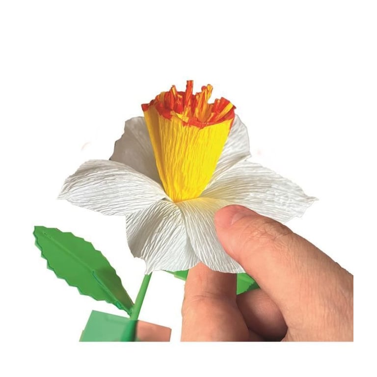 Crée tes fleurs Narcisse - vue 7