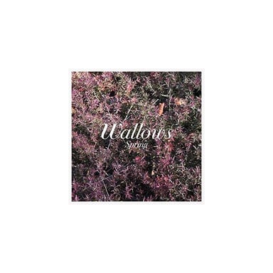 Edizione da collezione Primavera in vinile colorato