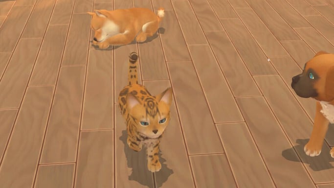 Microids Il mio universo: il mio bambino - Cani e gatti Standard